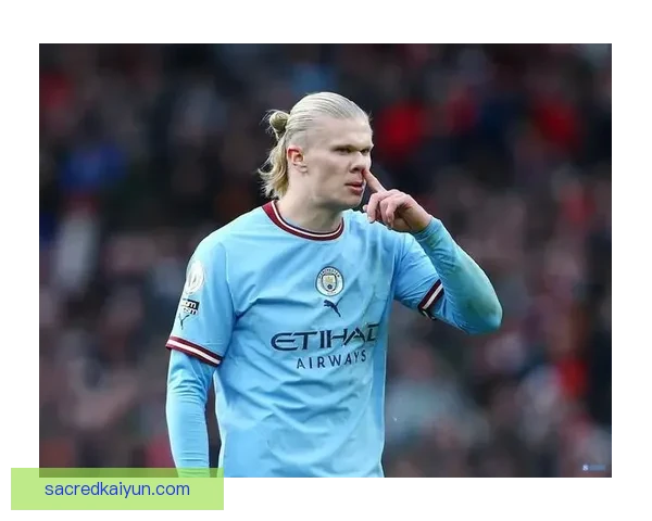 哈兰德数据化前锋 哈兰德数据化前锋