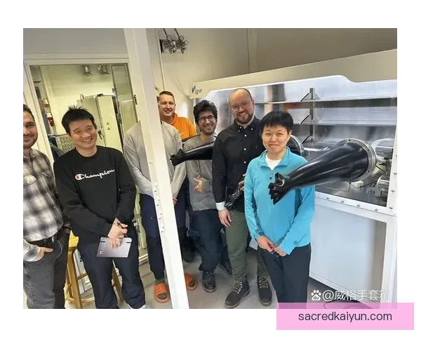 芬兰团队精神持续提升，备受关注的集体表现引发期待